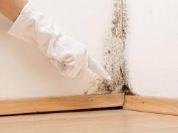 Best Crawl Space Mold Remediation  in Dunes City, OR